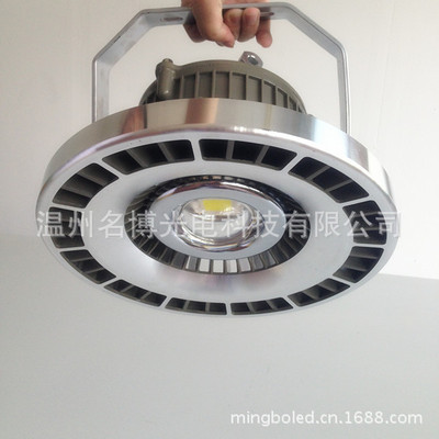 【LED投光燈 LED工廠燈 工礦產(chǎn)品 20W-120W 整體配件批發(fā) 質(zhì)保3年】價格,廠家,圖片,其他LED燈具,溫州名博光電科技-